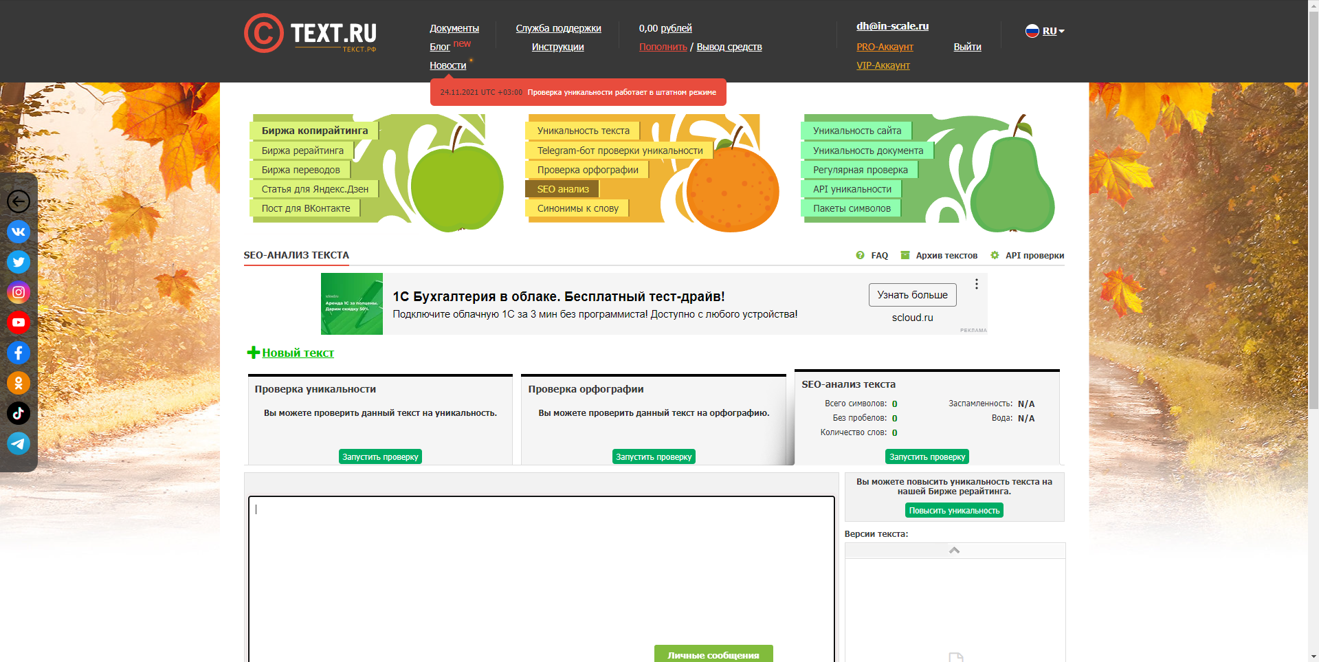 Text.ru seo-анализ