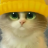 Марина